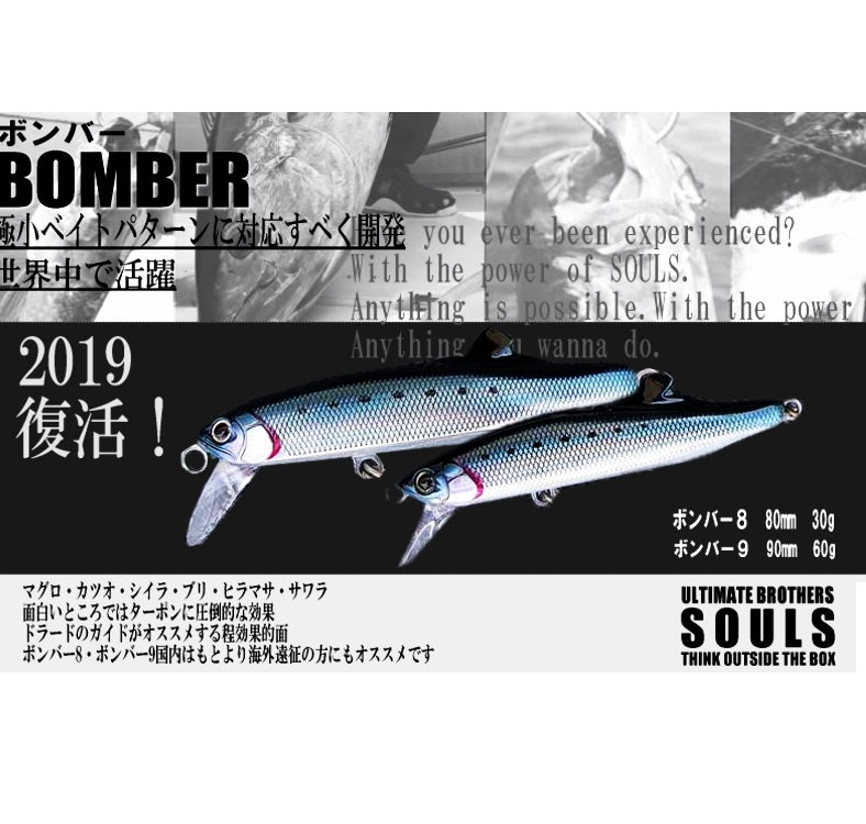 SEELEN, SOULS Sinkende Elritze BOMBER 8 80mm 30g