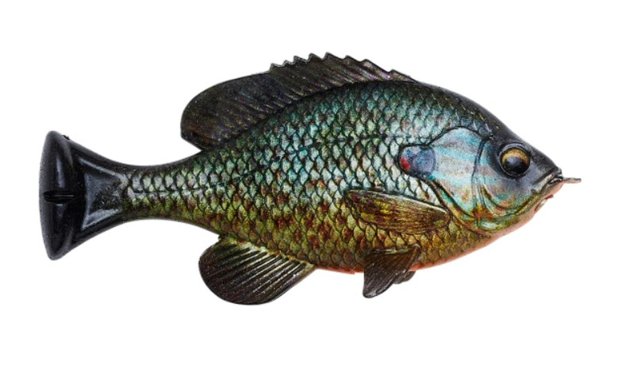 Wilde Ausrüstung, Savage Gear Pulse Tail Bluegill LB Swimbait