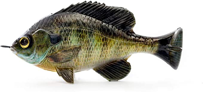 Wilde Ausrüstung, Savage Gear Pulse Tail Bluegill LB Swimbait