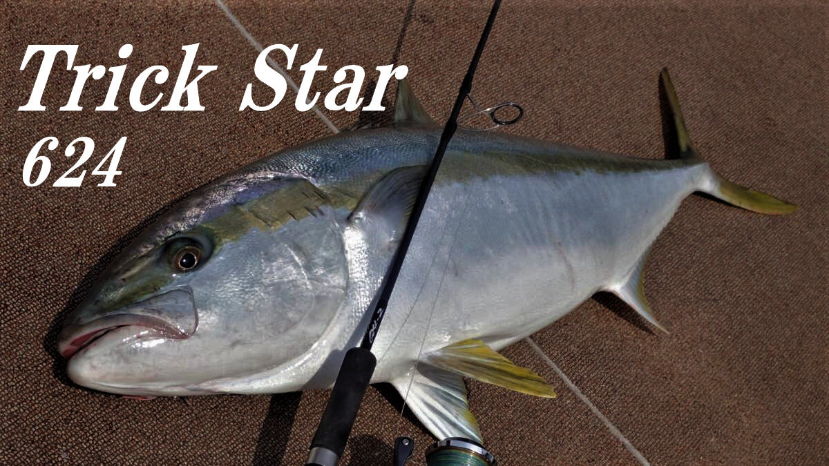 TRUTH JAPAN, TRUTH JAPAN Trick Star 624 (Jiging Spinning Modell für Yellowtail)