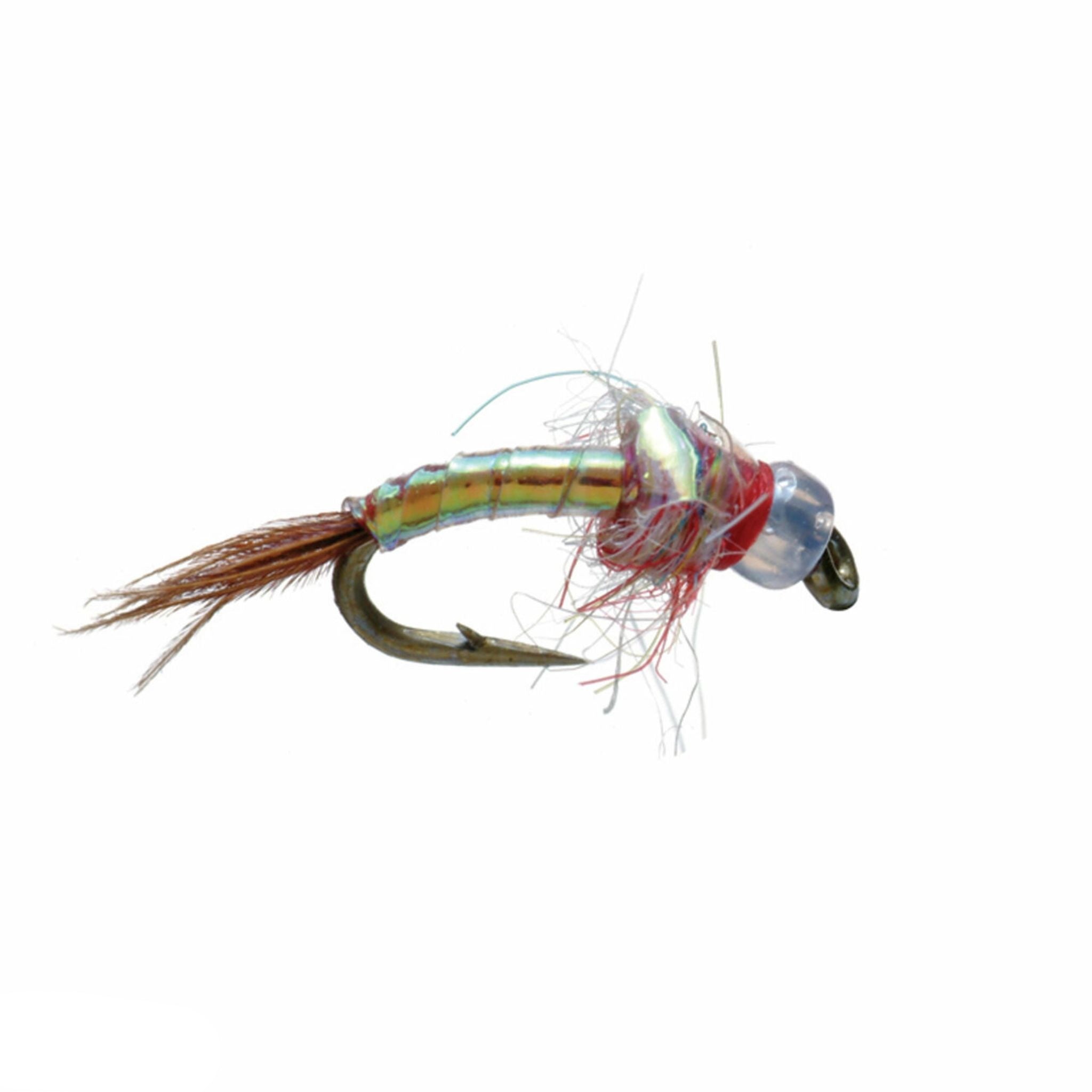 Umpqua, Umpqua Egans Regenbogen-Krieger-Fliege